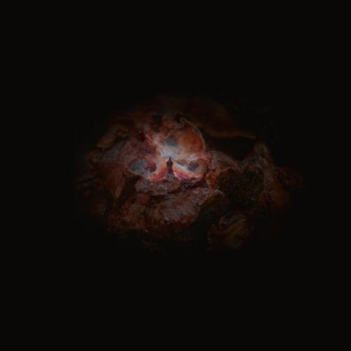 Cover The Dying of the Light