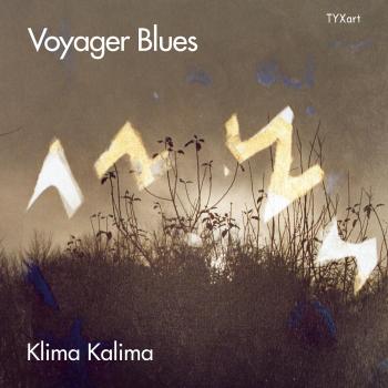 Cover Voyager Blues