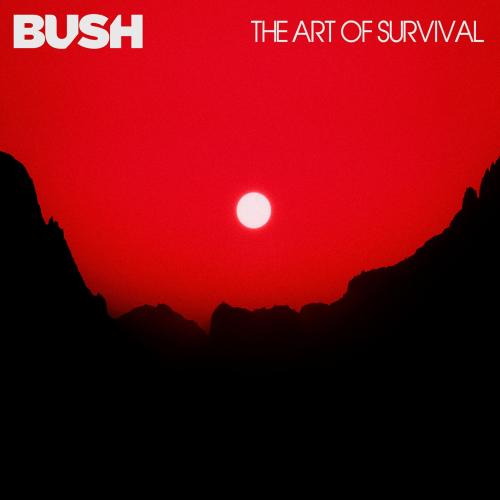 Cover The Art Of Survival