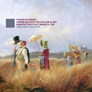 Cover Schubert: String Quartets D. 887, D. 703