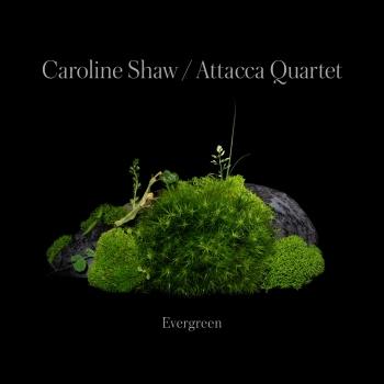 Cover Caroline Shaw: Evergreen