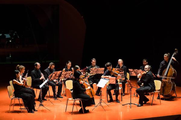 c/o chamber orchestra