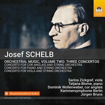 Cover Schelb: Orchestral Music, Vol. 2