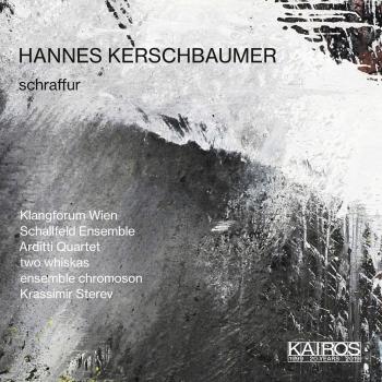 Cover Hannes Kerschbaumer: Schraffur & Other Works