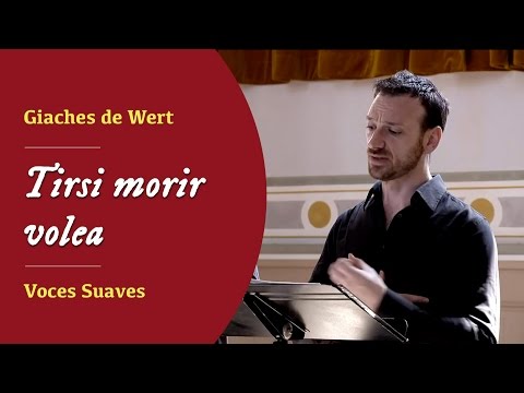 Video Voces Suaves - Tirsi morir volea Giaches de Wert (1535-1596)