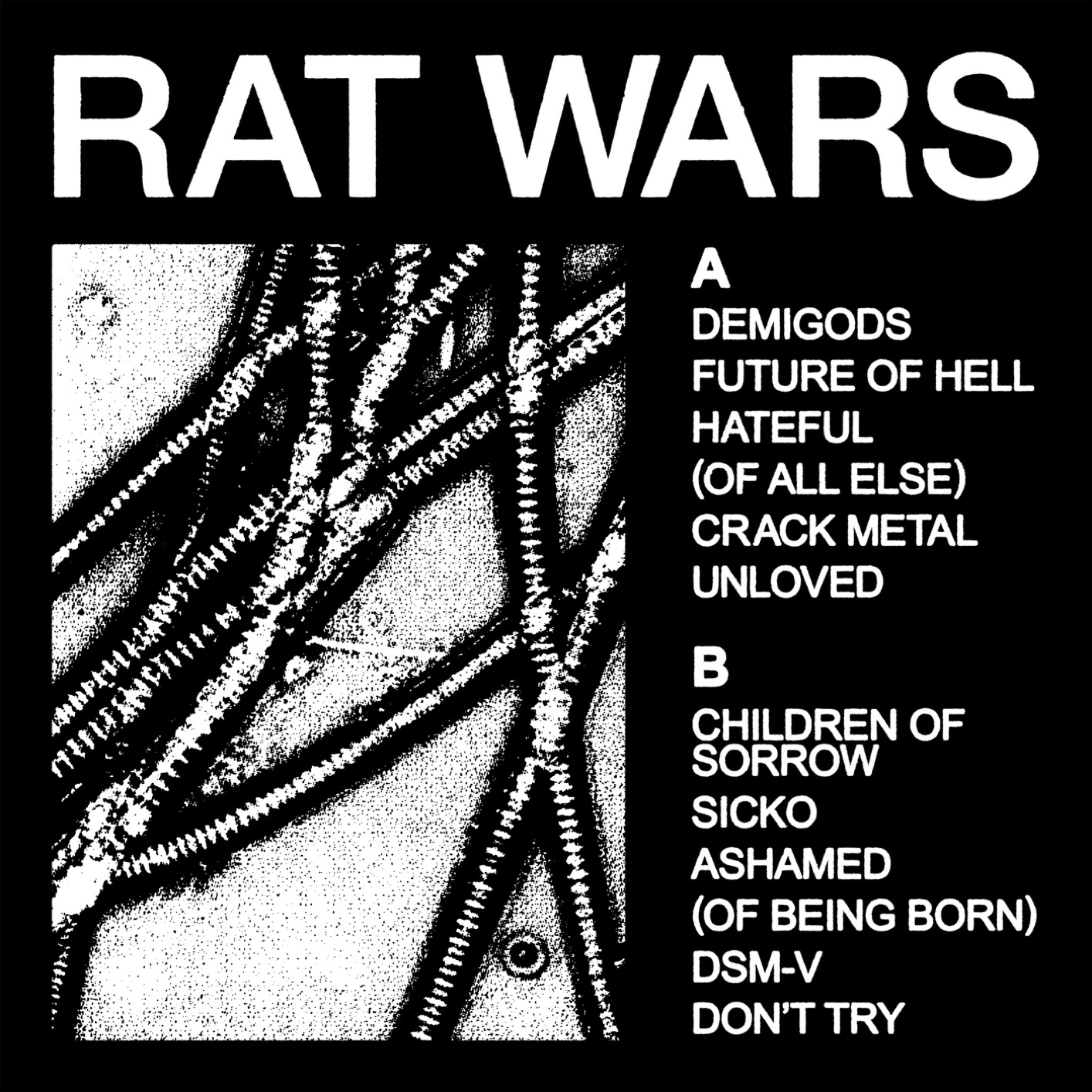 Cover RAT WARS