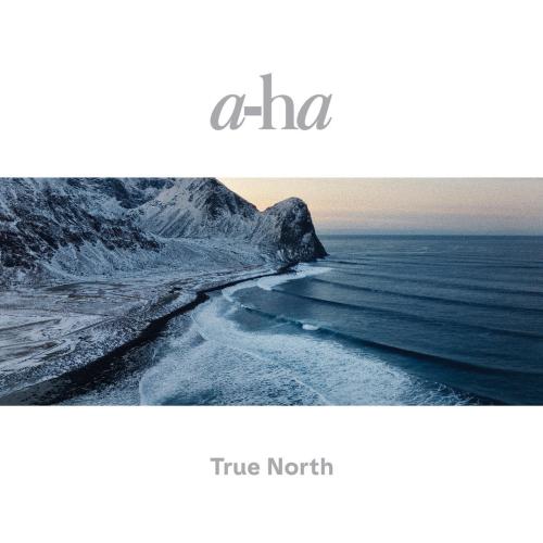 Cover True North