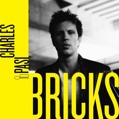 Cover Bricks