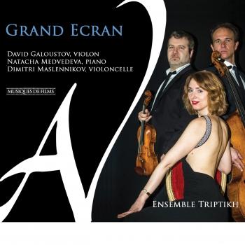 Cover Grand Écran