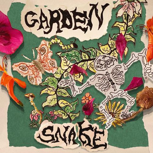 Cover Garden Snake