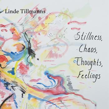 Cover Stillness, Chaos, Thoughts, Feelings