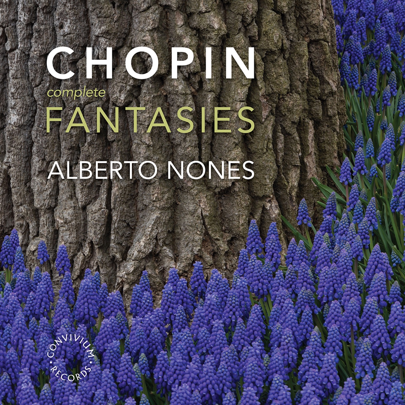 Cover Chopin: The Complete Fantasies