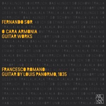 Cover Sor: O Cara Armonia (Guitar Works)