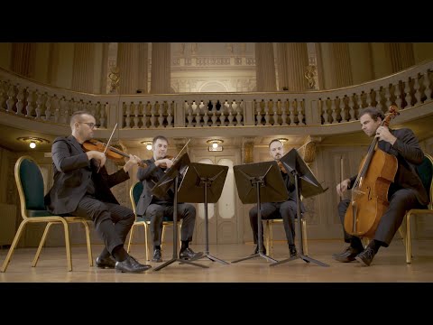 Video The Milanese Quartets - Lodi Quartet' by VenEthos Ensemble - Mozart