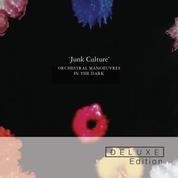Cover Junk Culture (Deluxe Edition)
