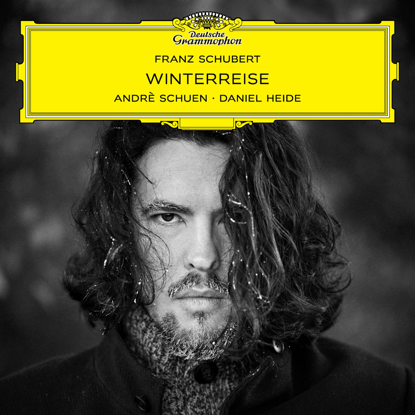 Cover Schubert: Winterreise