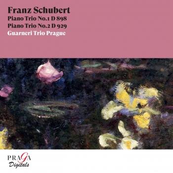 Cover Franz Schubert: Piano Trios Nos. 1 & 2