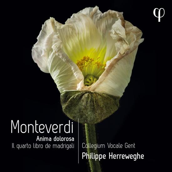 Cover Monteverdi Il quarto libro de madrigali