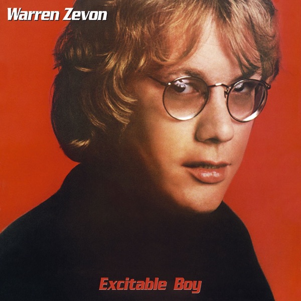 Cover Excitable Boy