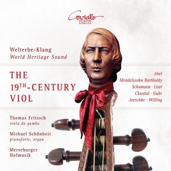 Cover The 19th Century Viol da Gamba
