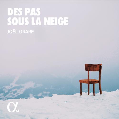 Cover Des pas sous la neige