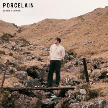 Cover Porcelain
