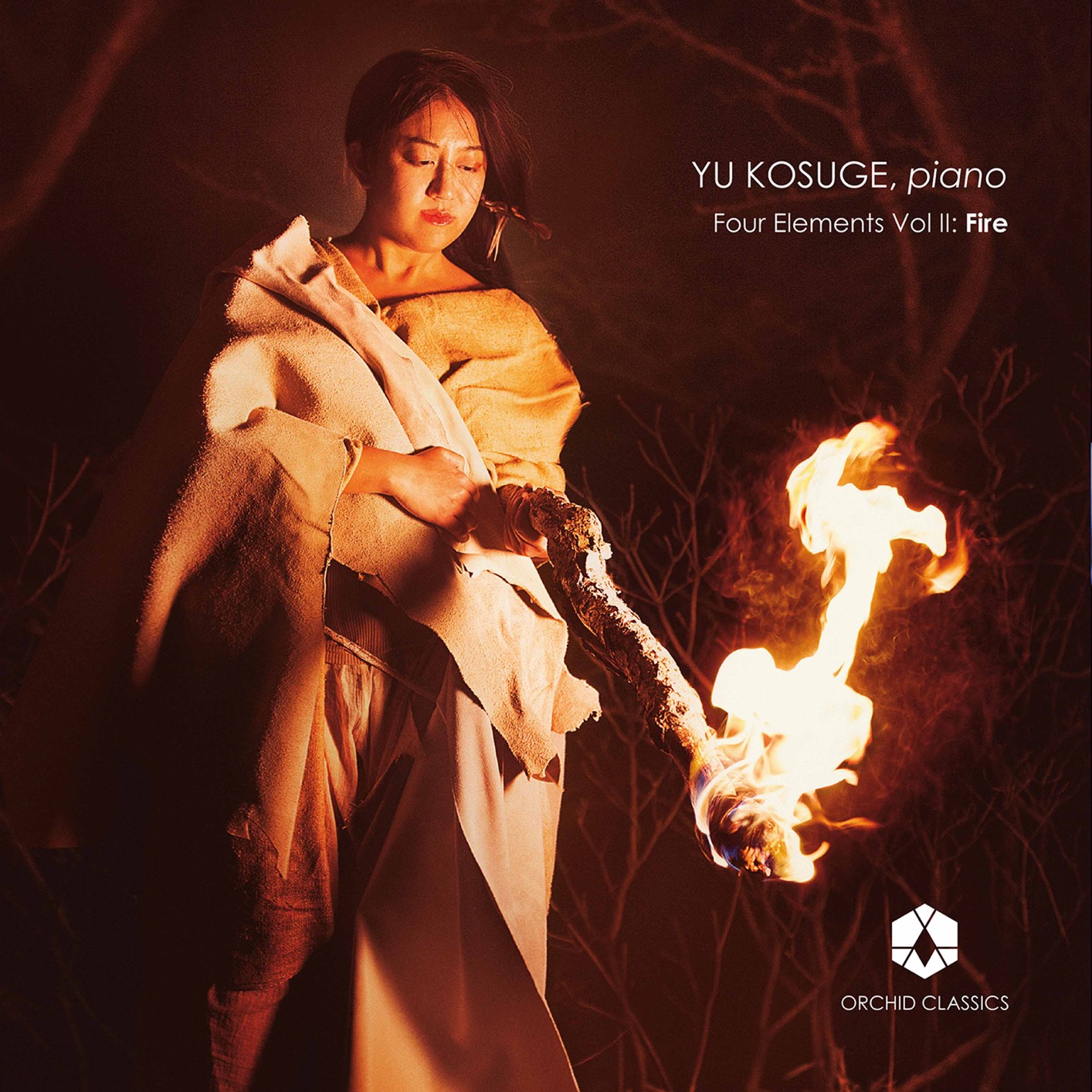 Cover Four Elements, Vol. 2: Fire