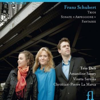 Cover Schubert: Trios / Sonate Arpeggione / Fantaisie