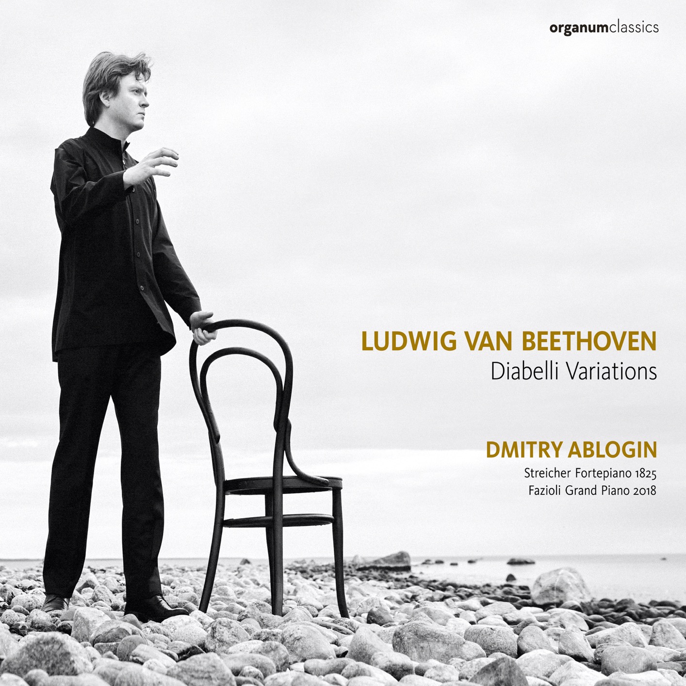 Cover Beethoven: Diabelli Variations