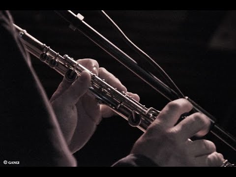 Video The Mattan Klein Quartet - The Long Run 