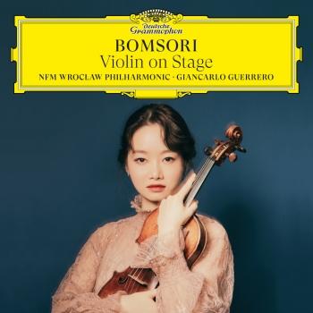 Cover Violin on Stage