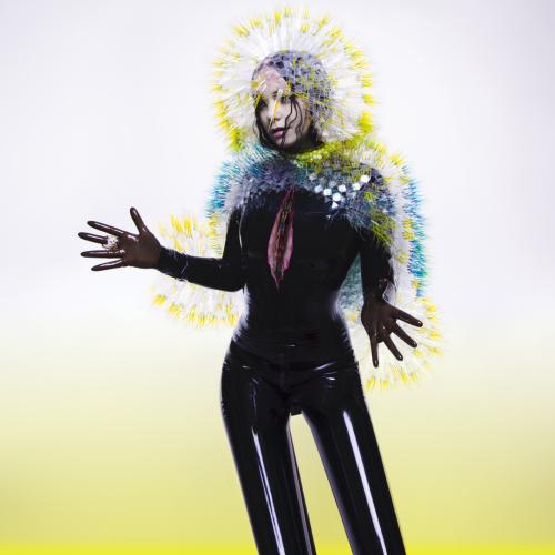 Cover Vulnicura