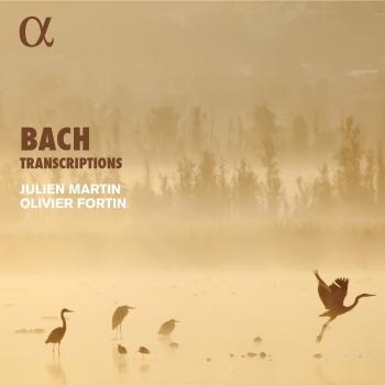 Cover Bach Transcriptions