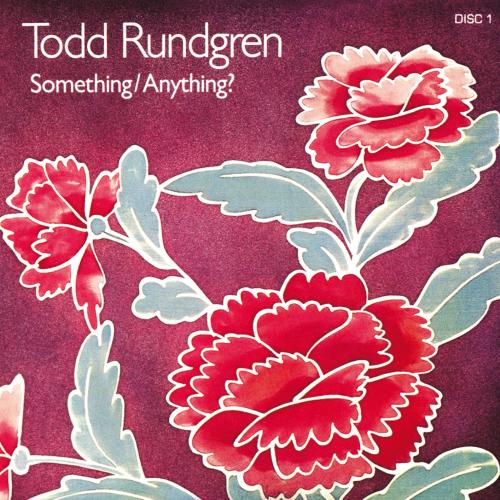 Cover Something / Anything? (2016 Remaster)