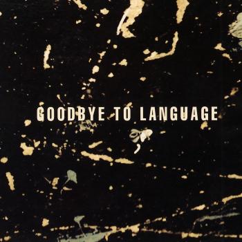 Cover Goodbye To Language
