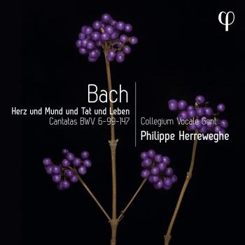 Cover Herz und Mund und Tat und Leben - Bach: Cantatas BWV 6-99-147