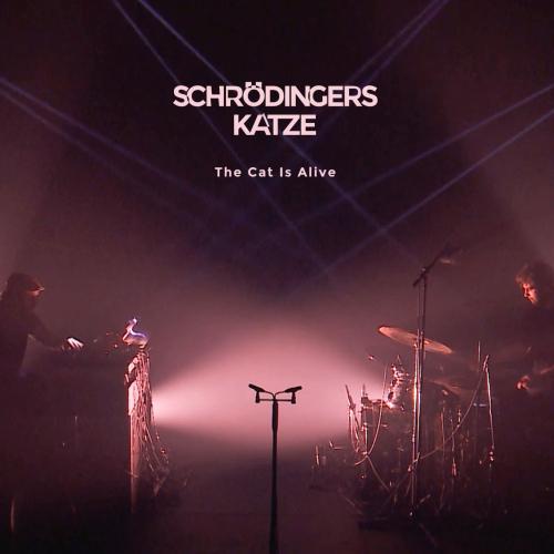 Cover The Cat Is Alive (Live)