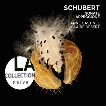 Cover Schubert Sonate Arpeggione D821 / Sonatina, D384 - Lieder transcriptions