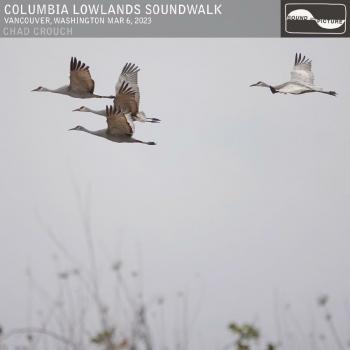 Cover Columbia Lowlands Soundwalk