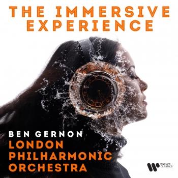 Cover The Immersive Experience (Stereo)