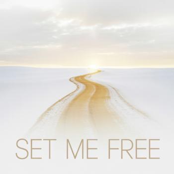 Cover Set Me Free