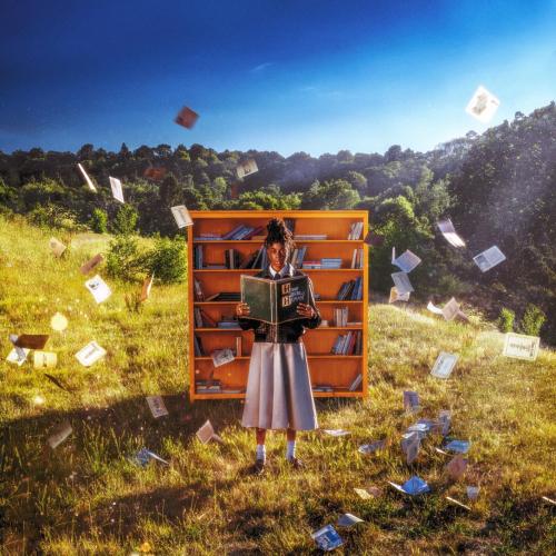 Cover How To Be Human