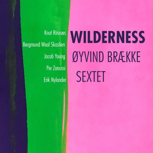 Cover Wilderness