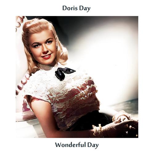 Cover Wonderful Day (Remastered Edition)