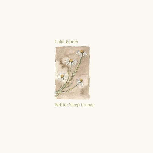 Cover Before Sleep Comes