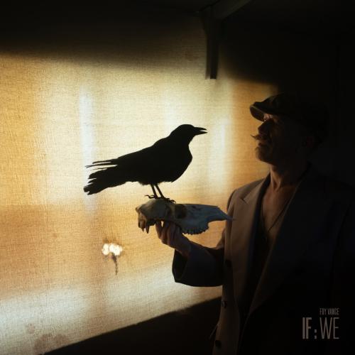 Cover IF: WE