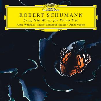 Cover Schumann: Complete Works for Piano Trio