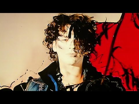 Video NXS - What You Need