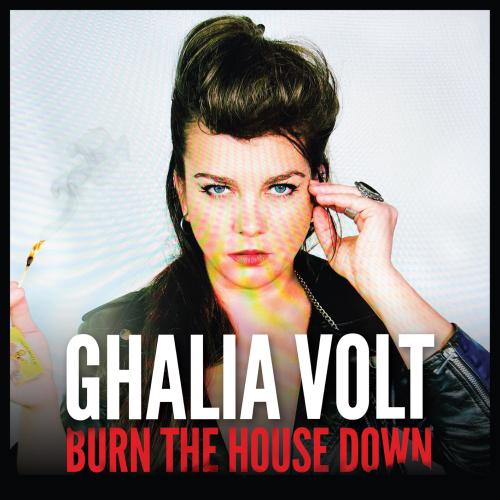 Cover Burn The House Down