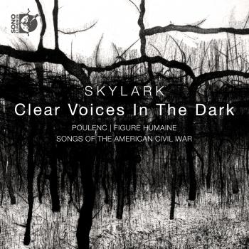 Cover Clear Voices In The Dark